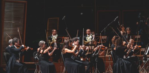 Filarmonica Arturo Toscanini_dettaglio_ph. Luca Pezzani (4)